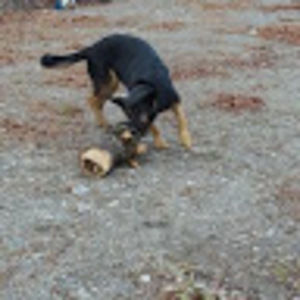 Meet your Posher, Jasmin